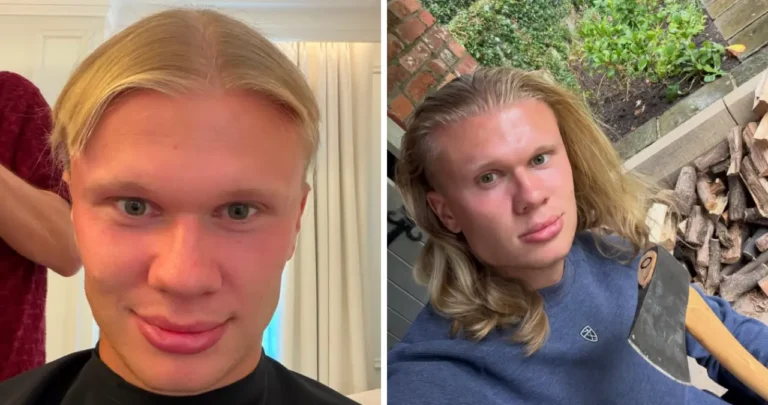 Erling Haaland Stats
